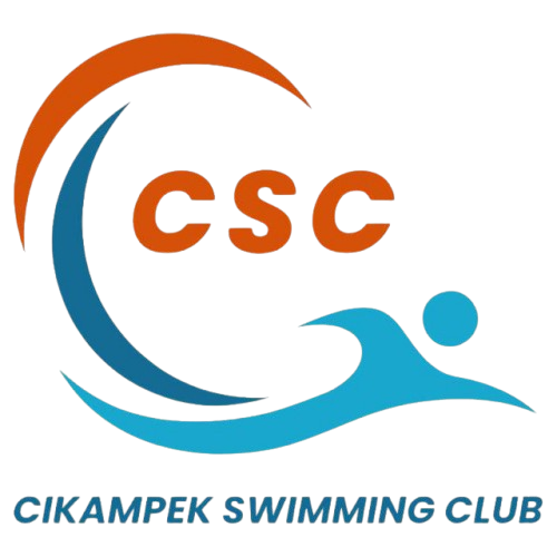 CSC Logo